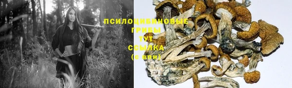 кокаин перу Рославль