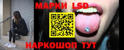 гашик Гатчина