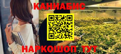 гашик Гатчина