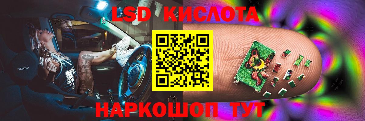МЕФ Клинцы
