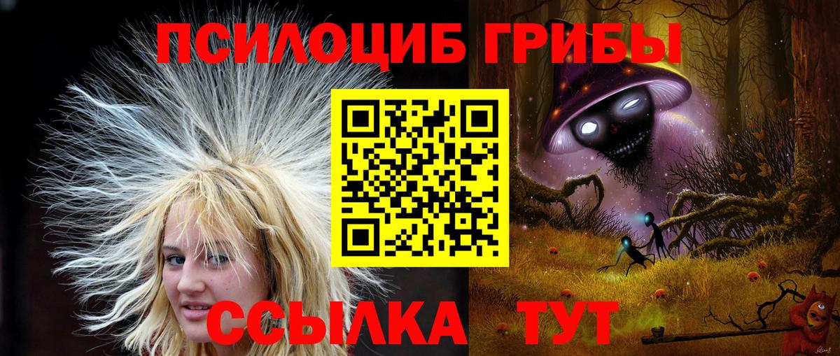 Клинцы  Галлюциногенные грибы мухоморы  Вход с VPN 